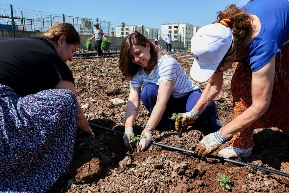 Eşbaşkan Bucak, kadınlarla birlikte Komün Bostanı’nda fide dikti