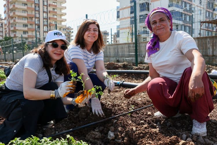 Eşbaşkan Bucak, kadınlarla birlikte Komün Bostanı’nda fide dikti 1