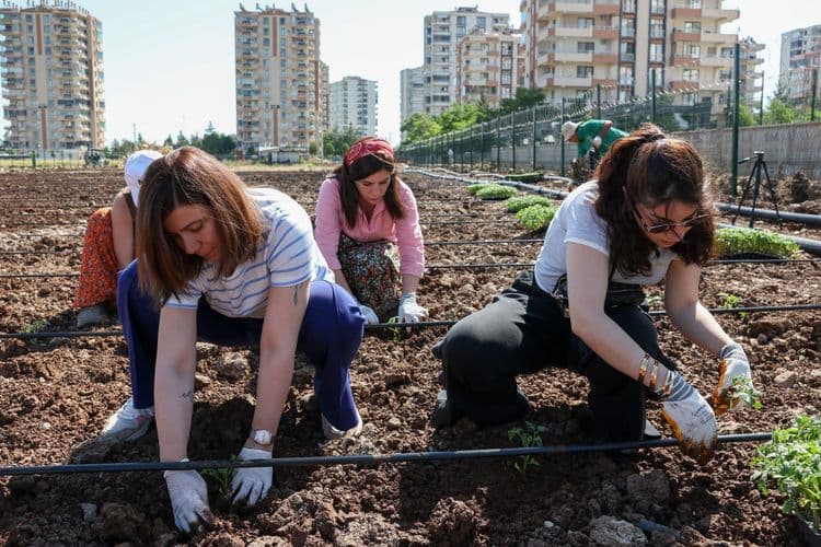 Eşbaşkan Bucak, kadınlarla birlikte Komün Bostanı’nda fide dikti 3