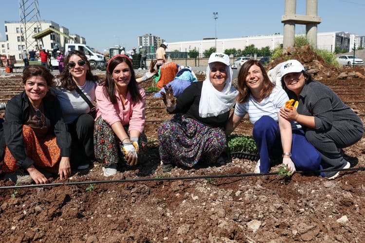 Eşbaşkan Bucak, kadınlarla birlikte Komün Bostanı’nda fide dikti 10