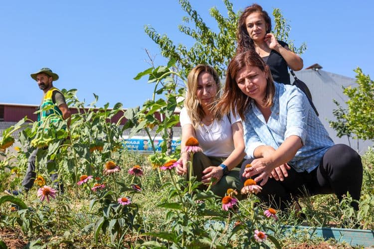 Eşbaşkan Bucak ekolojik üretim ve tarım projelerini yerinde inceledi 3