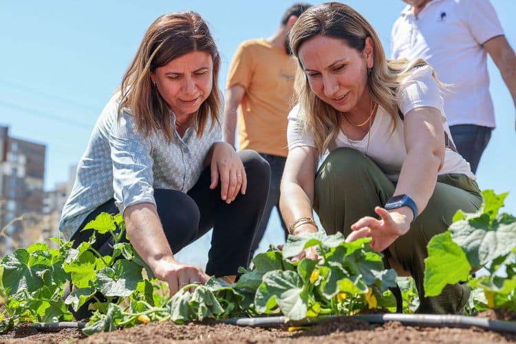 Eşbaşkan Bucak ekolojik üretim ve tarım projelerini yerinde inceledi 16