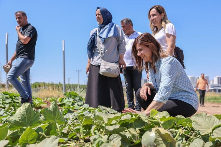 Eşbaşkan Bucak ekolojik üretim ve tarım projelerini yerinde inceledi 17