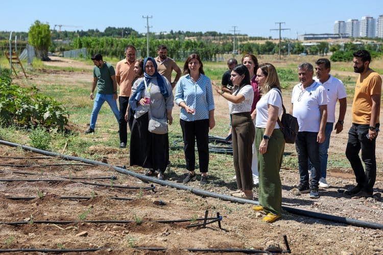 Eşbaşkan Bucak ekolojik üretim ve tarım projelerini yerinde inceledi 18