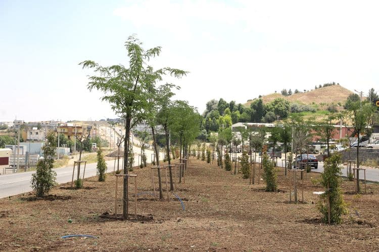 Diyarbakır’a 14 kilometrelik yeşil koridor 2