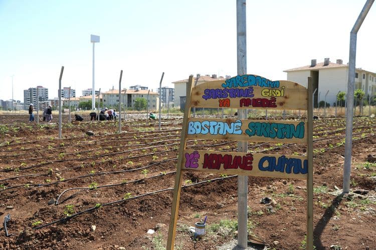 Kadınlar dayanışmayla üretiyor, komünal yaşamı büyütüyor 2