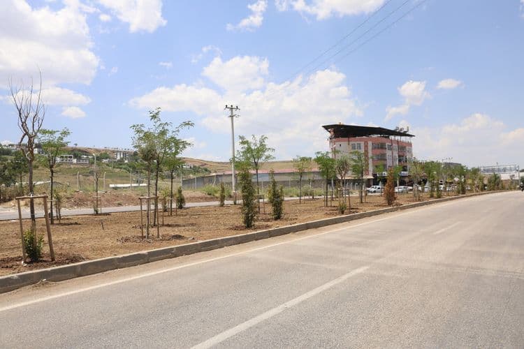 Diyarbakır’a 14 kilometrelik yeşil koridor 4