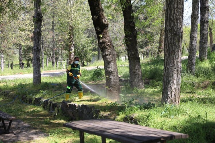 Parklarda yaz hazırlığı 2