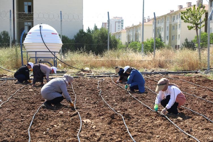 Kadınlar dayanışmayla üretiyor, komünal yaşamı büyütüyor 4