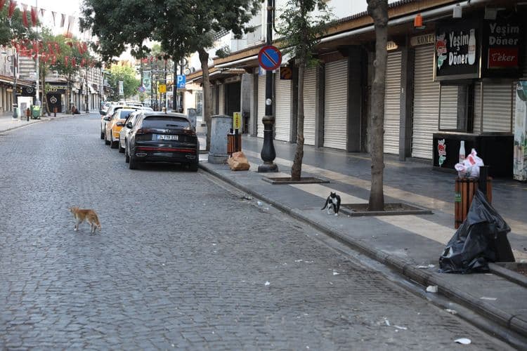 Sur ilçesinde temizlik çalışması 7