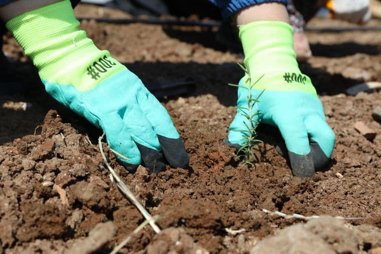 Kadınlar dayanışmayla üretiyor, komünal yaşamı büyütüyor 6