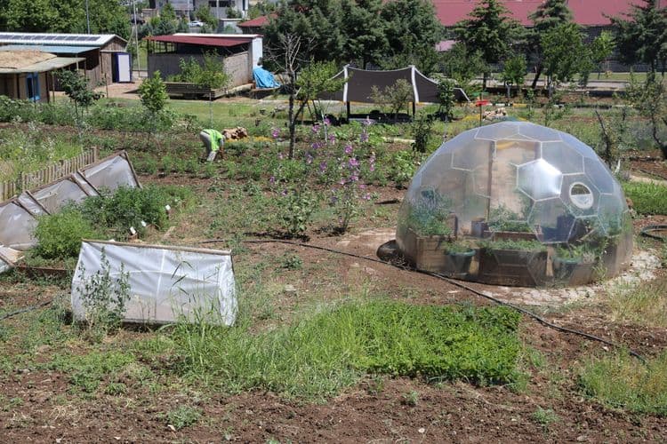 Yerel tohumlar Agroekoloji Yerleşkesi’nde koruma altında 7