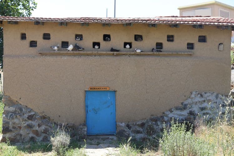 Yerel tohumlar Agroekoloji Yerleşkesi’nde koruma altında 11