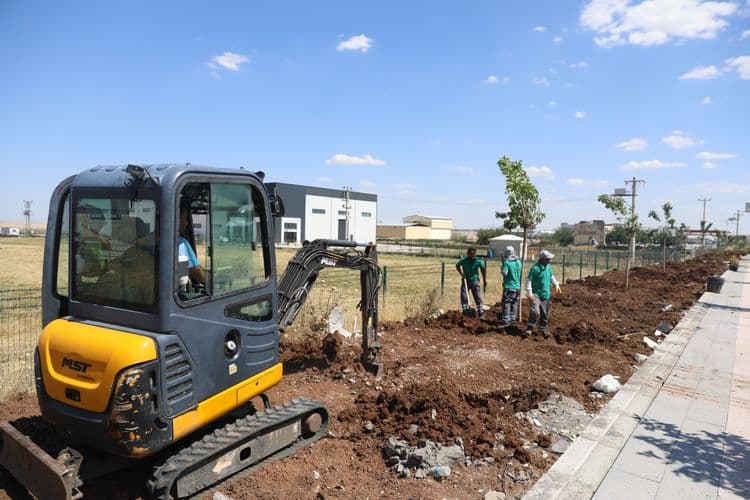 Diyarbakır-Mardin yolunun çehresi 23 bin yeni bitkiyle değişiyor 8