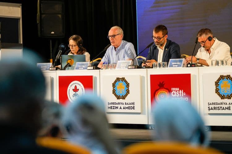 Dünya deneyimleri Diyarbakır'da buluştu: Barışın ortak yol haritası konuşuldu 6