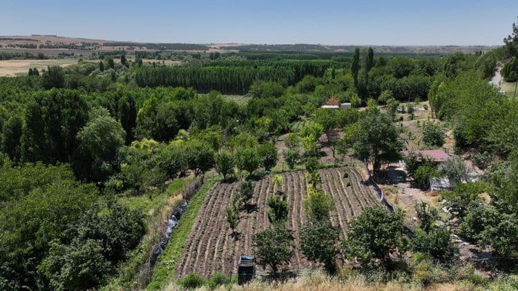 Hevsel Bahçeleri’ne temiz su sağlayan kanal tamamlandı 3