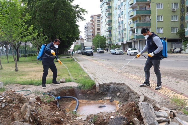 17 ilçede haşereyle mücadele aralıksız sürüyor 8