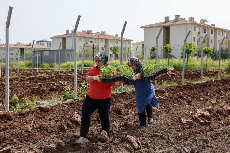 Kadın Komün Kent Bostanı’nda fideler toprakla buluştu
8