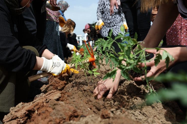 Kadın Komün Kent Bostanı’nda fideler toprakla buluştu
2