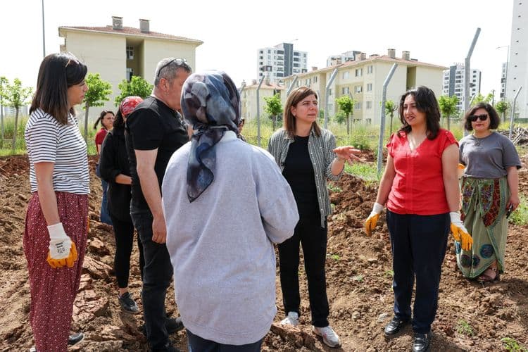 Kadın Komün Kent Bostanı’nda fideler toprakla buluştu
4