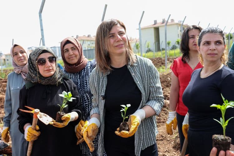 Kadın Komün Kent Bostanı’nda fideler toprakla buluştu
1