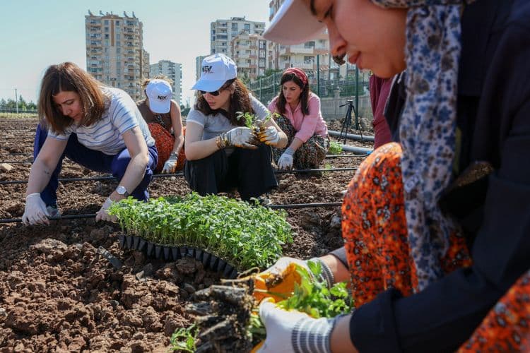 Hevşaredar Bucak ligel jinan li Bîstanê Komîn şitil çandin 2