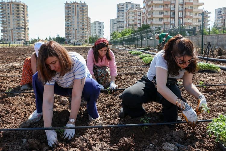 Hevşaredar Bucak ligel jinan li Bîstanê Komîn şitil çandin 3