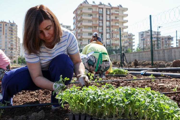 Hevşaredar Bucak ligel jinan li Bîstanê Komîn şitil çandin 4