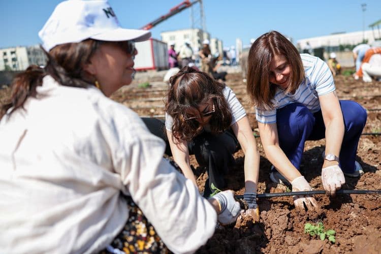 Hevşaredar Bucak ligel jinan li Bîstanê Komîn şitil çandin 5