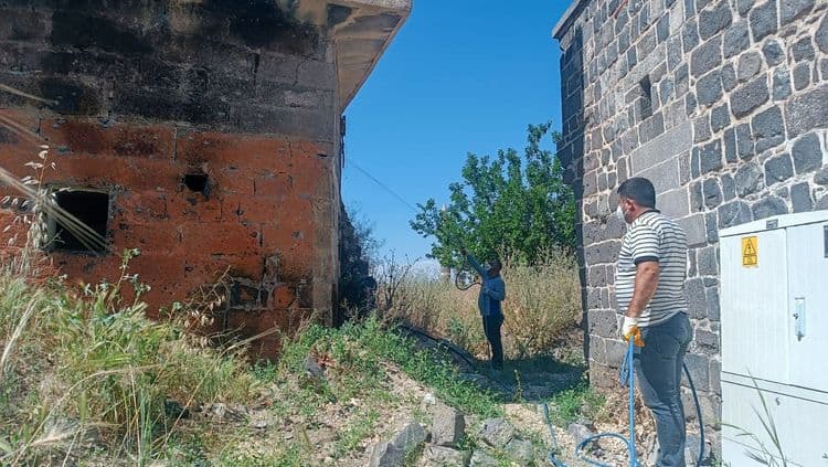Sıcaklarla birlikte akrep mücadelesi başlatıldı 4