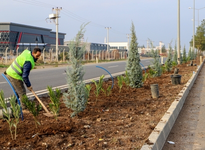 Şaredarî li 14 kîlometre têketina bajêr daran diçîne