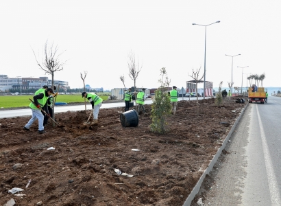 Şaredariyê ser rêya Mêrdînê bi dar û devîyan xemiland