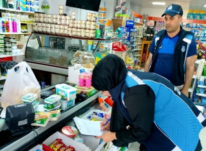 Gulane de 989 Tesîsî Ameyî Kontrolkerdene