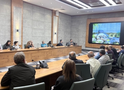 Li Amedê ji bo rêça bîrê hevdîtin