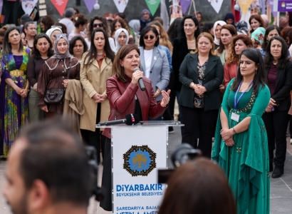Pêdîyayîşê Cinî, Kede û Kultur-Hunerî yê Amedî Dest Pêkerd