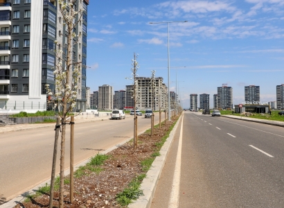 Green transformation in Diyarbakır: 5,000 trees planted