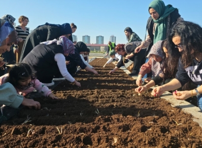 Tıbbi ve Aromatik Bitkiler Atölyesi’nde safran ekimi