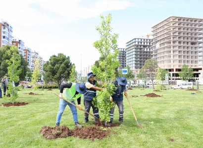 Mahabad Bulvarında peyzaj çalışmaları devam ediyor