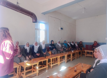 Li Çungûşê xebata wekheviya zayendiya civakî