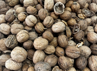 Denetimlerde son kullanma tarihi geçen 600 kg ürüne el konuldu