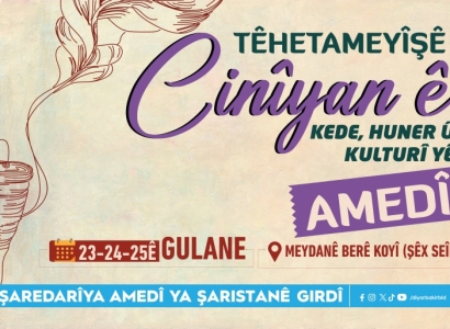 Bernameyê Têhetameyîşê Kede, Kultur û Hunerî yê Cinîyanê Amedî