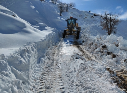 15 Qezayan de Rayîrê Taxanê Dewan Abî, 2 Qezayan de Xebatî Dewam Kenê