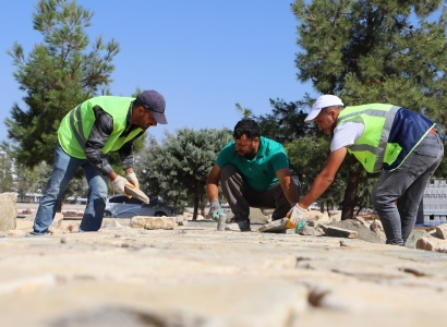 Baxçeyê Nebatanê Tîbbî û Aromatîkan de Xebatê Bingeyî Qedîyayî, Dest bi Serawanîye Bî
