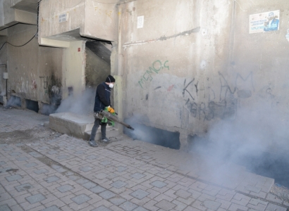 Haşerelere karşı kışlak ilaçlamanın startı verildi