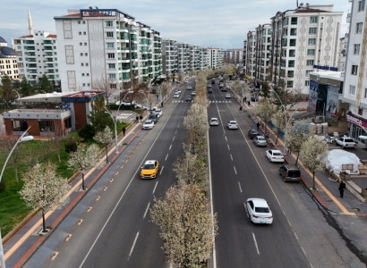 Bulvarlar süs armutlarıyla görsel şölene dönüştü