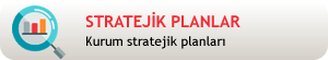 Stratejik Plan