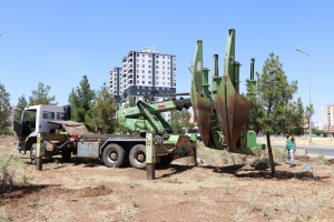 Darê ke mecbûrî ameyî wedarnayene, neqlê qada daristanî ya Kent-1î bîyî