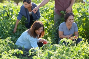 Debra Bîstanê Xwecihî: Hevşaredar Bucak bi jinan re sewze berhev kir
