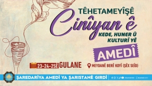 Bernameyê Têhetameyîşê Kede, Kultur û Hunerî yê Cinîyanê Amedî