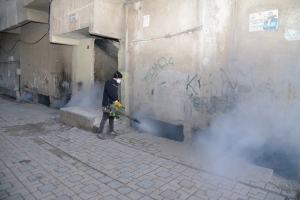 Dermankirina zivistanî ya li dijî heşereyan dest pê kir